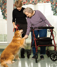 Therapy Dog interacting with patient